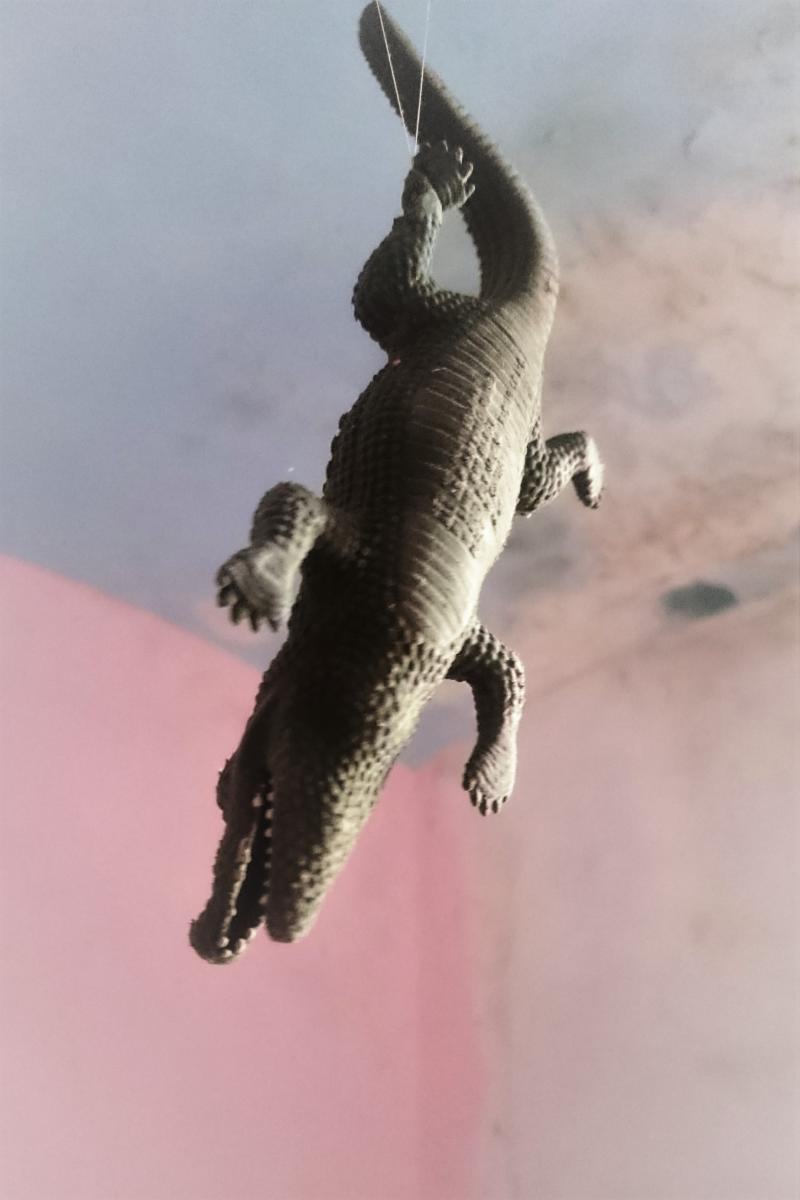 coccodrillo-by-mms-DSC_2053